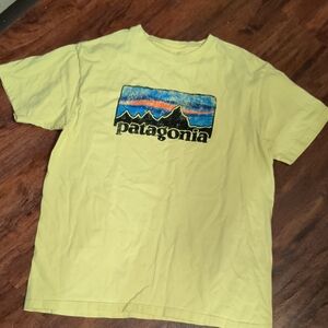 Patagonia Tee